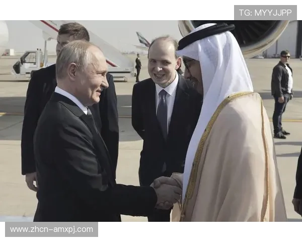 新普京在哪刷新频率高，告诉你最佳的刷新时间和地点以提高遇见概率